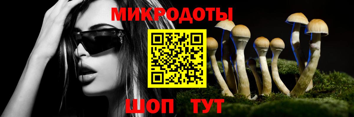 Кудрово  Псилоцибиновые грибы GOLDEN TEACHER  Вход с VPN 
